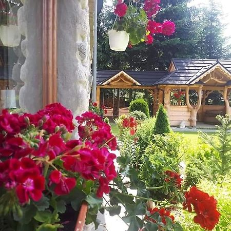 Magurskie Bywanie Witów Dış mekan fotoğraf