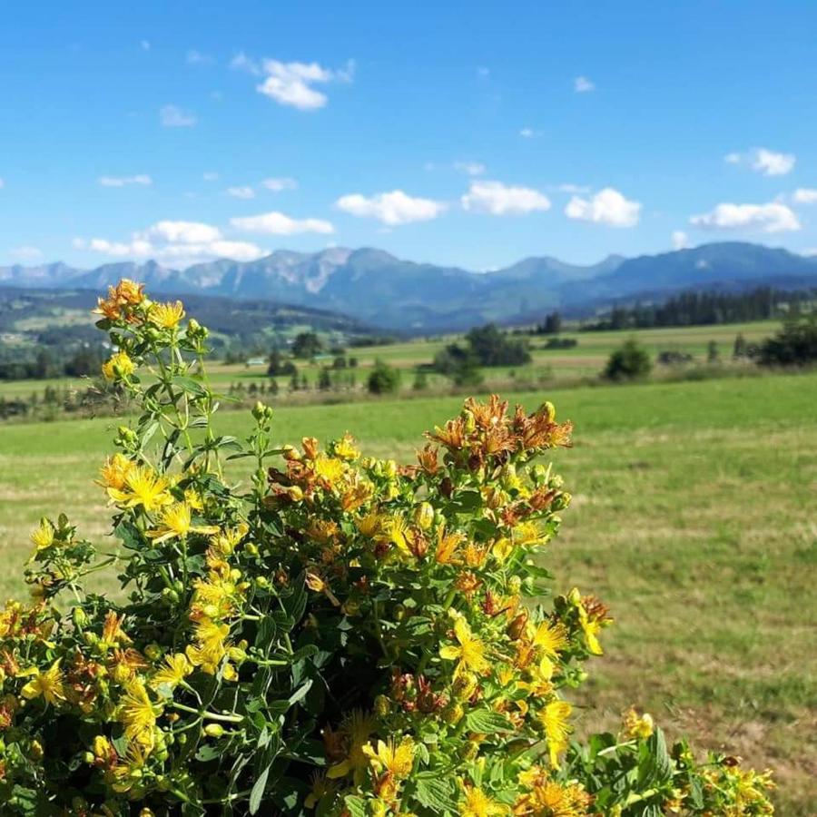 Magurskie Bywanie Witów Dış mekan fotoğraf