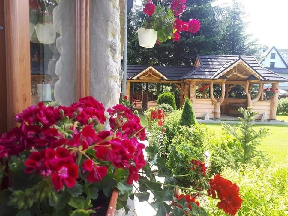 Magurskie Bywanie Witów Dış mekan fotoğraf