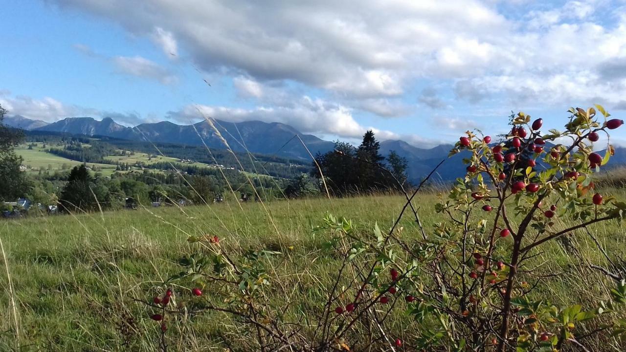 Magurskie Bywanie Witów Dış mekan fotoğraf