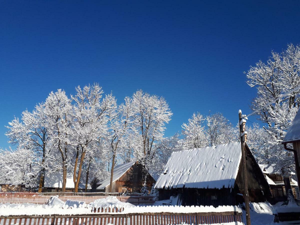 Magurskie Bywanie Witów Dış mekan fotoğraf
