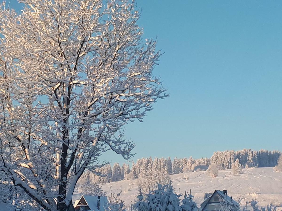 Magurskie Bywanie Witów Dış mekan fotoğraf