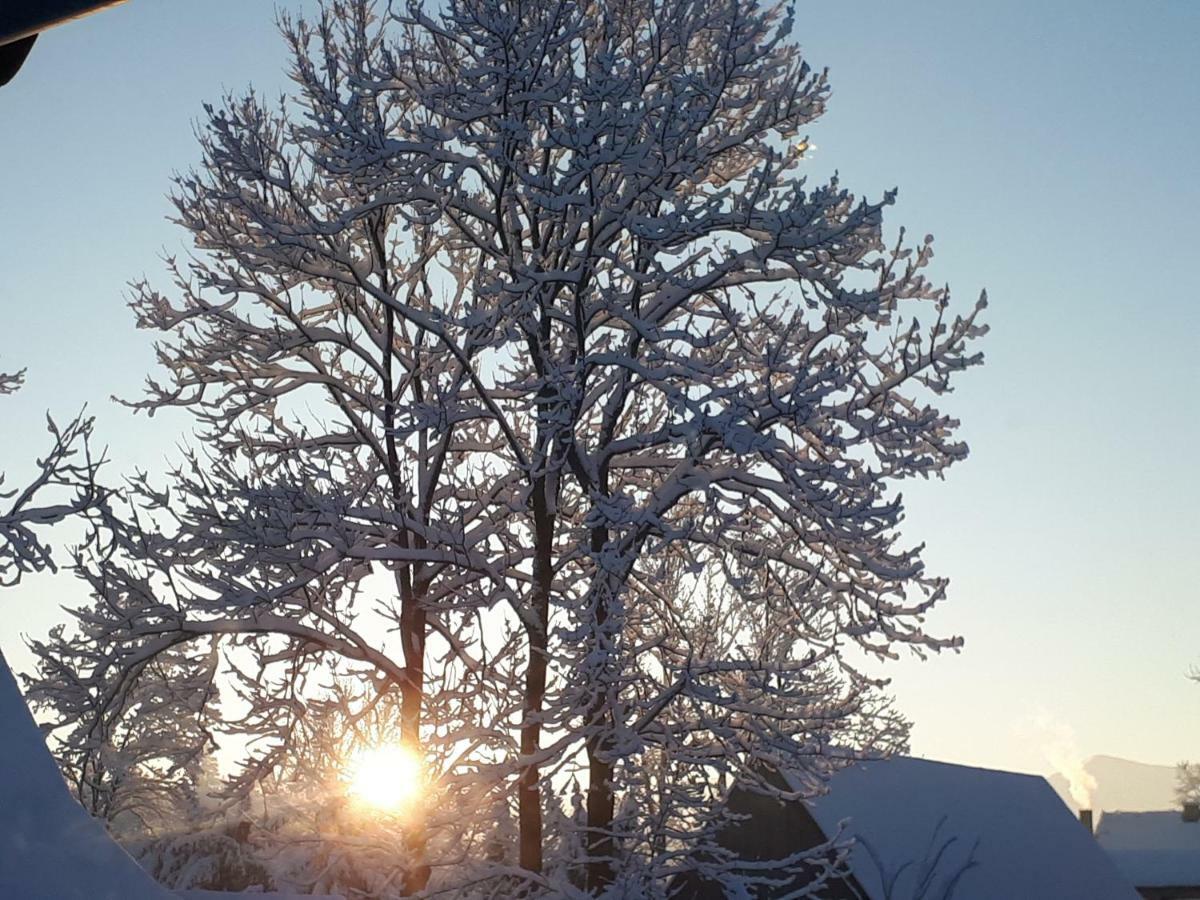 Magurskie Bywanie Witów Dış mekan fotoğraf